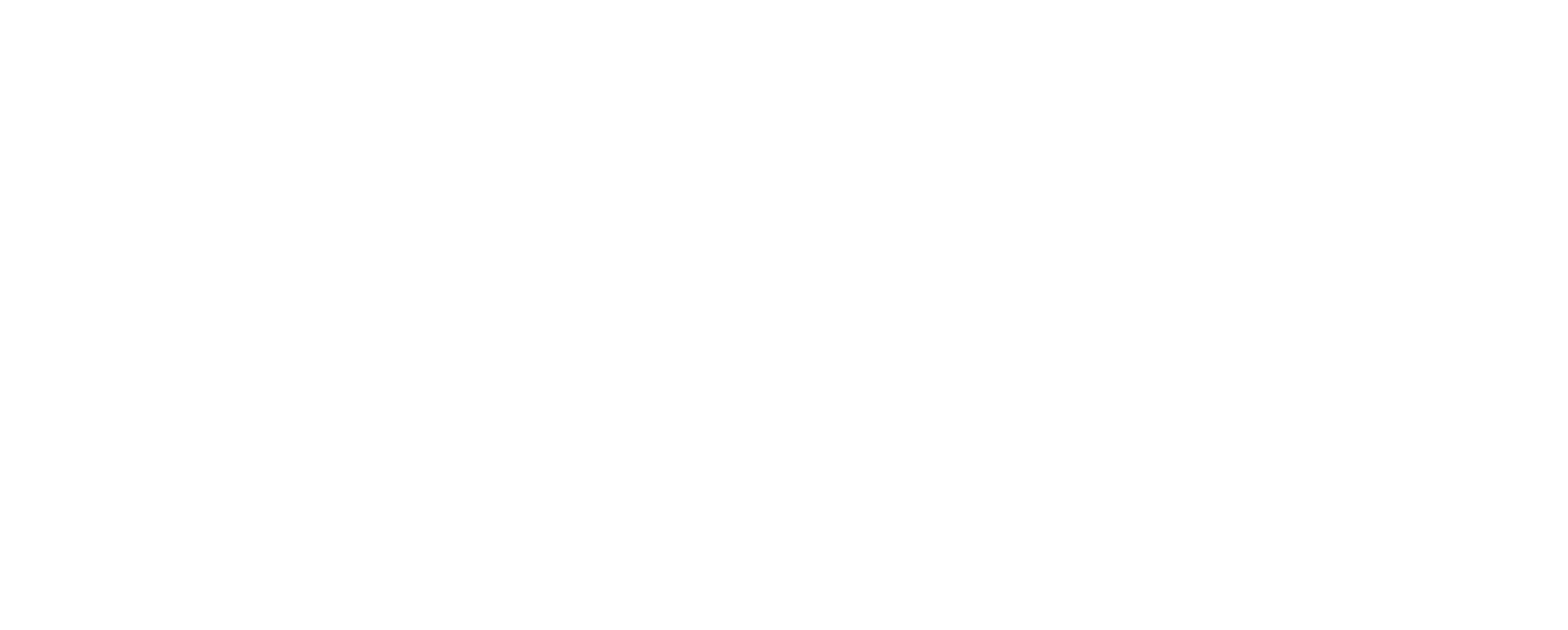 Disscut